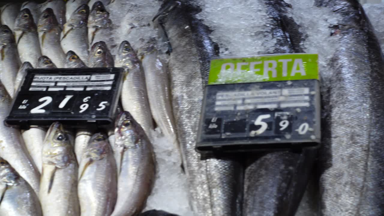 The choice of seafood in shop. Shooting in Spain