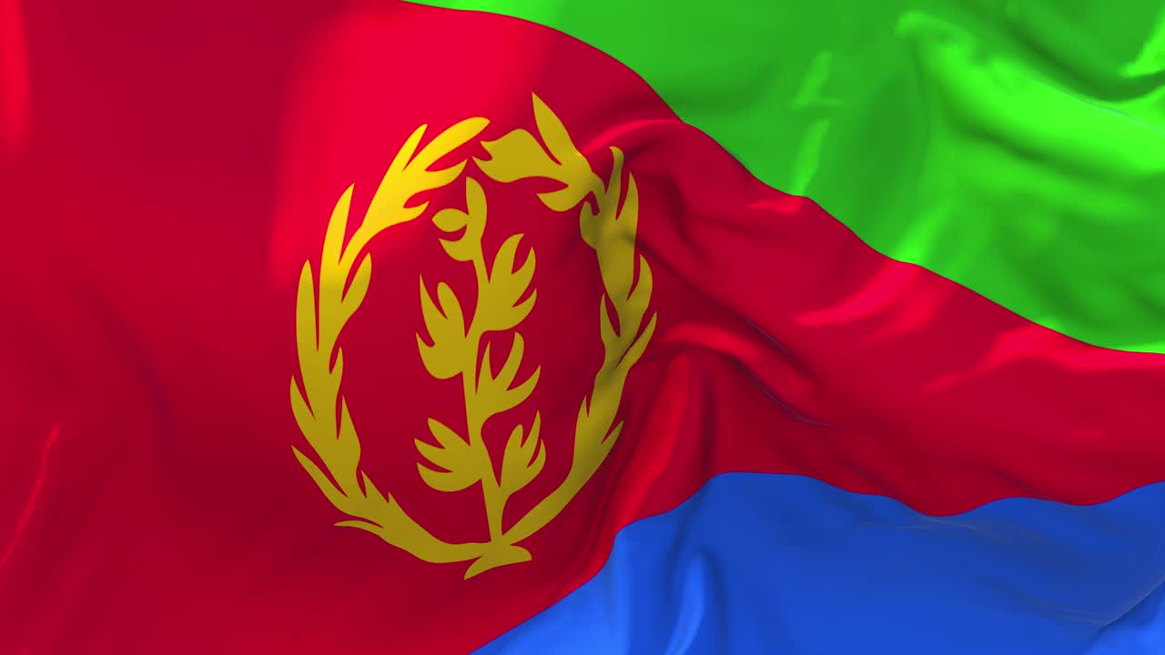 아프리카 연합 의 발