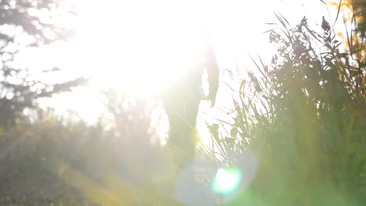 Cinematic low angle shot of young man walking along a forest path in Canada's countryside during fall. Beautiful lens flares caused by filming against the sunset. High grass is moving in the wind.