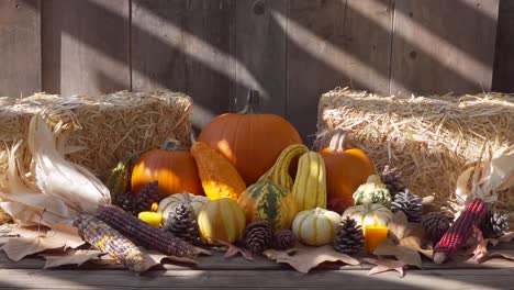 static shot of colorful pumpkins and gourds next to hay bales on wooden table against a wooden background with natural light and candles