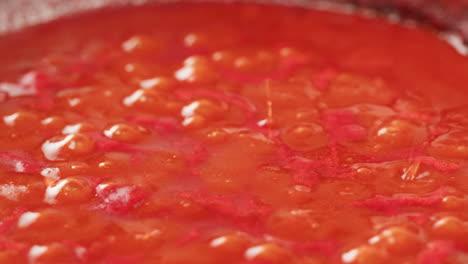 Chicken in tomato sauce is boiling on a frying pan with spices. Cooking tomato sauce curry with chicken fillet. Traditional Italian Mexican Asian dish. High quality studio shot for cafe, restaurant close up.