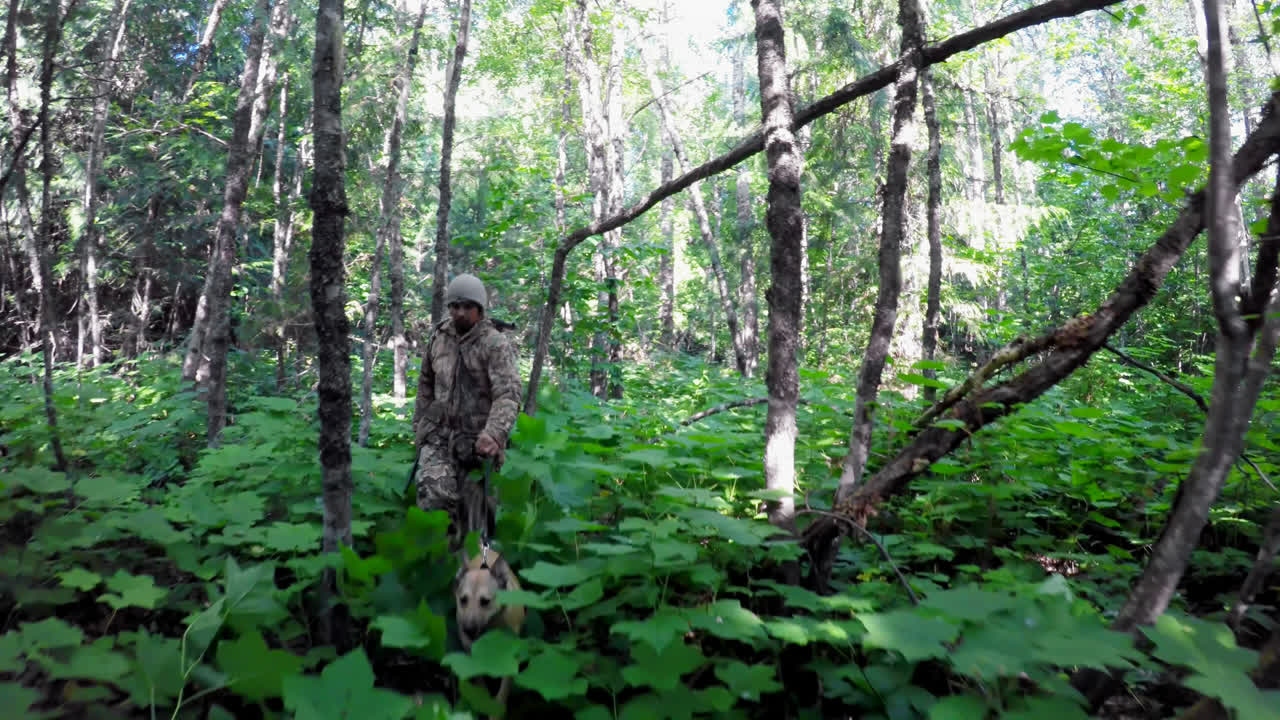 남자 사냥이 숲에서 사냥 4k