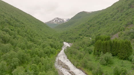 river flowing through the green forest near mountain pass at daylight in norway