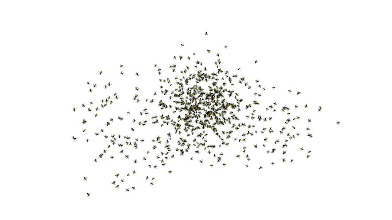 벌이 날아다니는 그룹 또는 라틴어로 원에 있는 벌