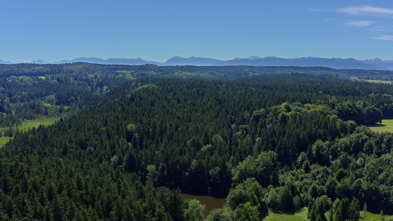 hermosa zona forestal de un amplio drone disparado con un pequeño estanque en primer plano y los alpes en el fondo - paisaje de naturaleza pura
