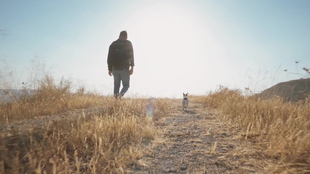 Una persona che cammina con il suo cane su un campo
