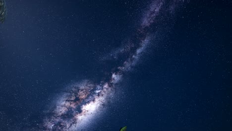 4k astro of milky way galaxy over tropical rainforest.