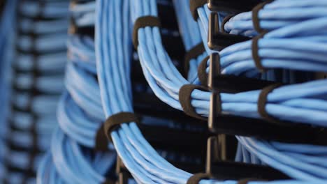 Close-up-pan-left-to-right-over-many-organized-bunches-of-blue-networking-cable-hooked-onto-a-server-rack