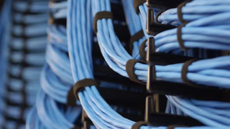 close-up pan left to right over many organized bunches of blue networking cable hooked onto a server rack