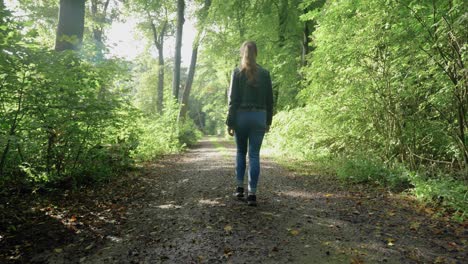 siguiendo a una joven caminando por el sendero de la naturaleza en un día brillante, rastreando