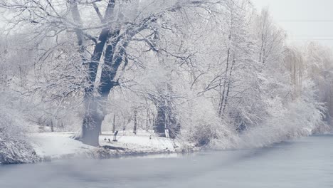 Alte-Eiche-Bedeckt-Mit-Leichtem-Ersten-Schnee,-Die-Am-Ufer-Des-Kleinen-Teichs-Steht