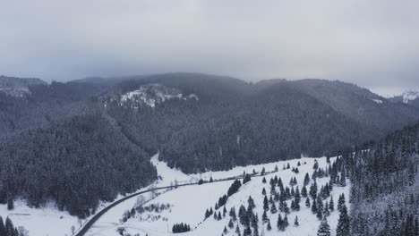 Vista-Aérea-De-La-Carretera-Entre-Montañas-De-Coníferas-Cubiertas-De-Nieve