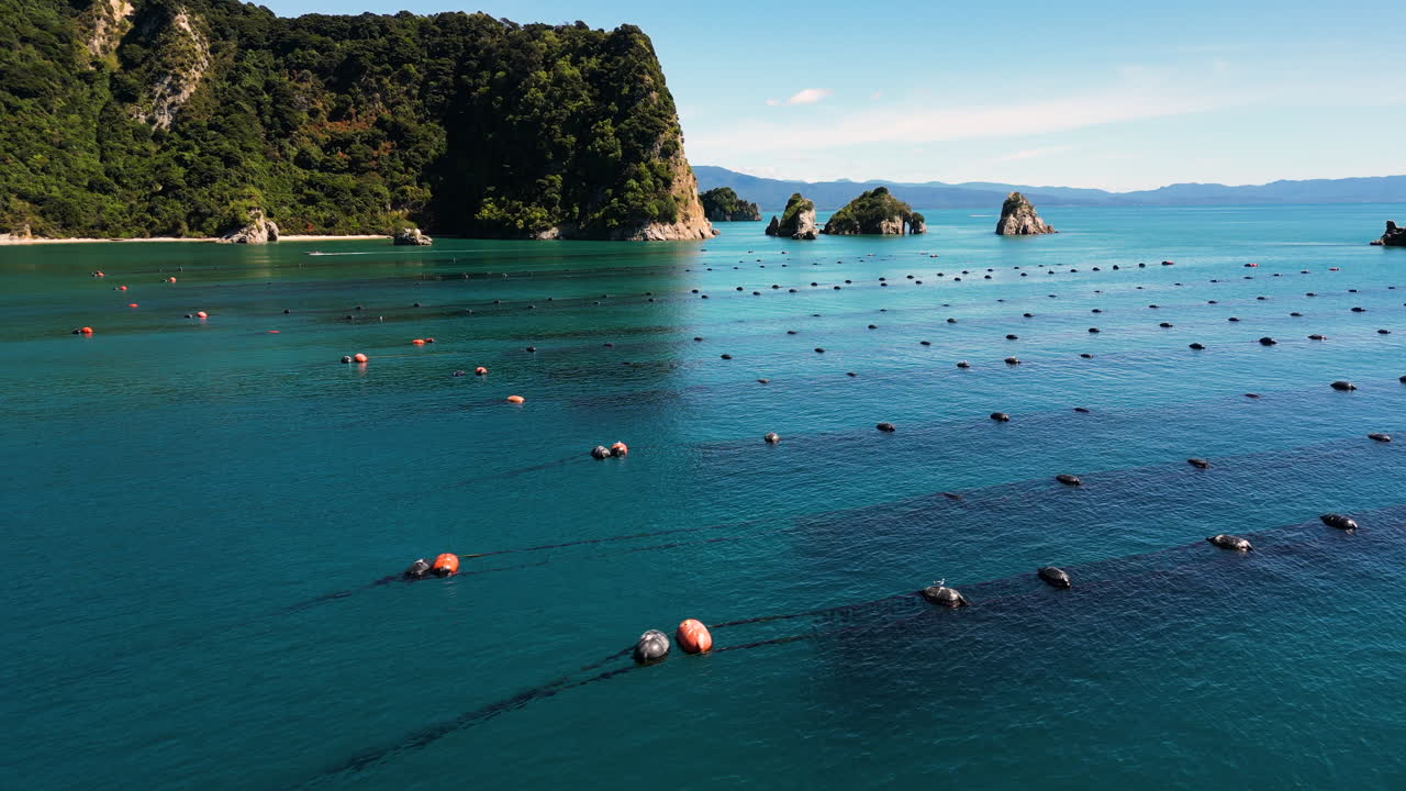 뉴질랜드 해양 해안에서 해산물을 생산하는 조개 양식 농장, 공중  ⁇ 도
