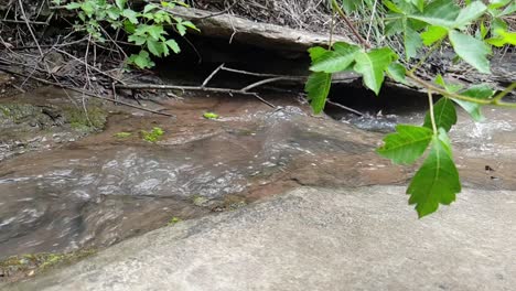 meditar tranquila y pacíficamente el agua que fluye de un arroyo de agua de manantial de montaña corriendo por enormes losas de piedra arenisca de roca con hojas de plantas verdes, agua potable cristalina