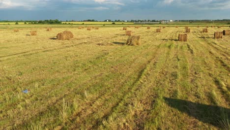 Erntezeit-Auf-Den-Feldern,-Gras-Und-Heuhaufen,-Konzept-Des-Ländlichen-Lebens-Und-Der-Landwirtschaft.-Luftaufnahme-Von-Der-Drohne