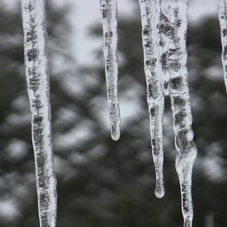 Good-Footage-Of-An-Ice-Storm