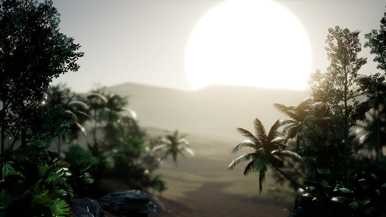 palmeras de coco paisaje tropical