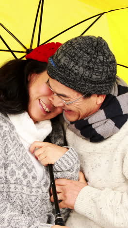 mature asian couple under an umbrella