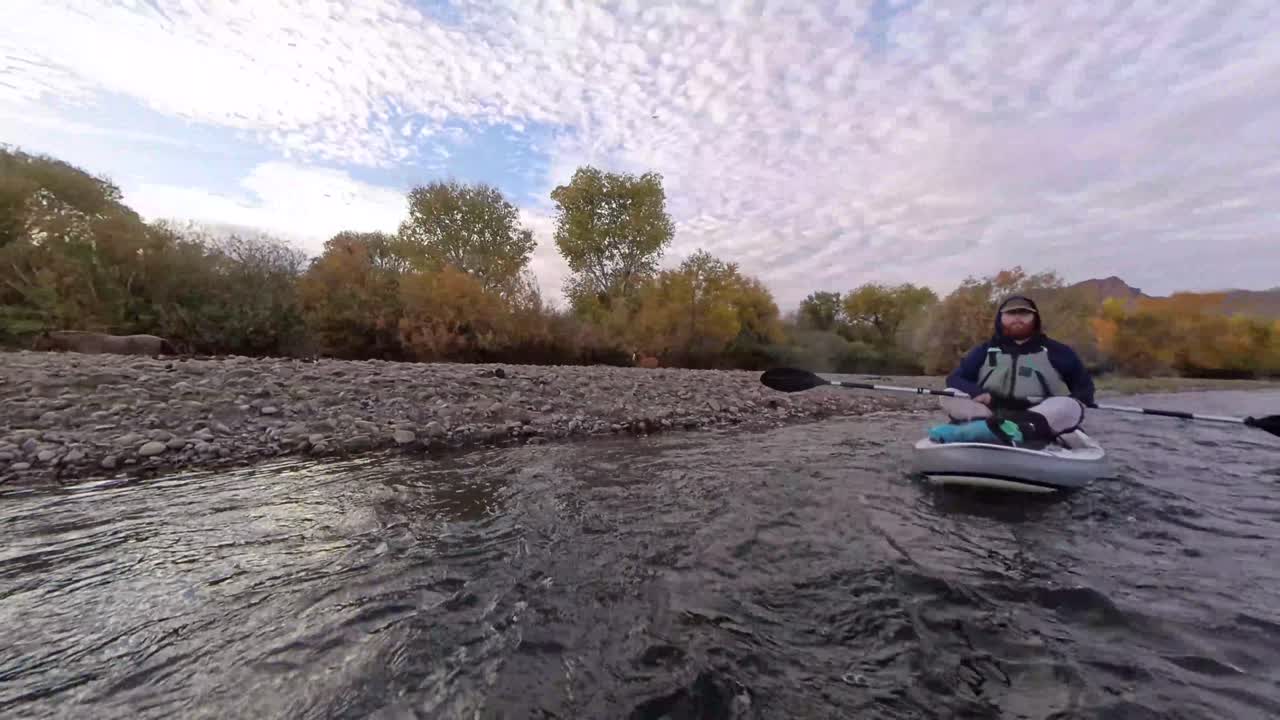 A man paddles down the Salt River with wild horses on the side of the river.