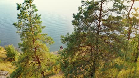 amazing view through the pine trees on the blue sea outdoors. couple in love stands near the water and enjoys each other on natural summer landscape. aerial view. camera moves down.