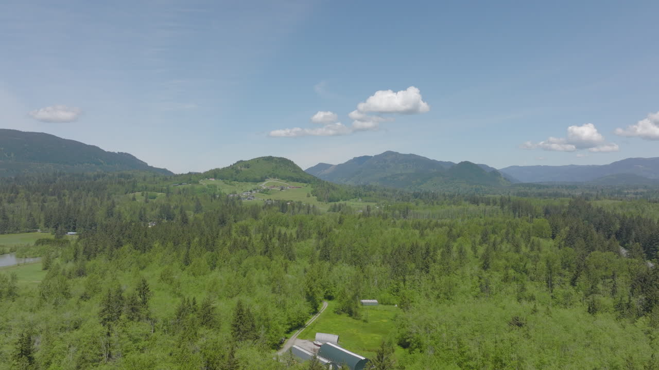 워싱턴 벨햄의 아름다운 풍경, 나무 아래로 붐이 일고 카메라를 지나는 도로 위의 자동차