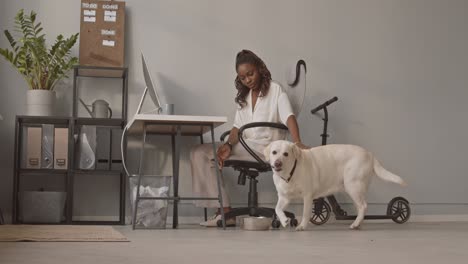 woman petting dog in office