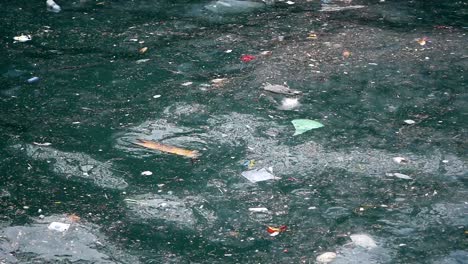 pollution in water