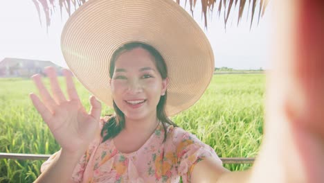 adult woman making selfie video call showing large rice production field