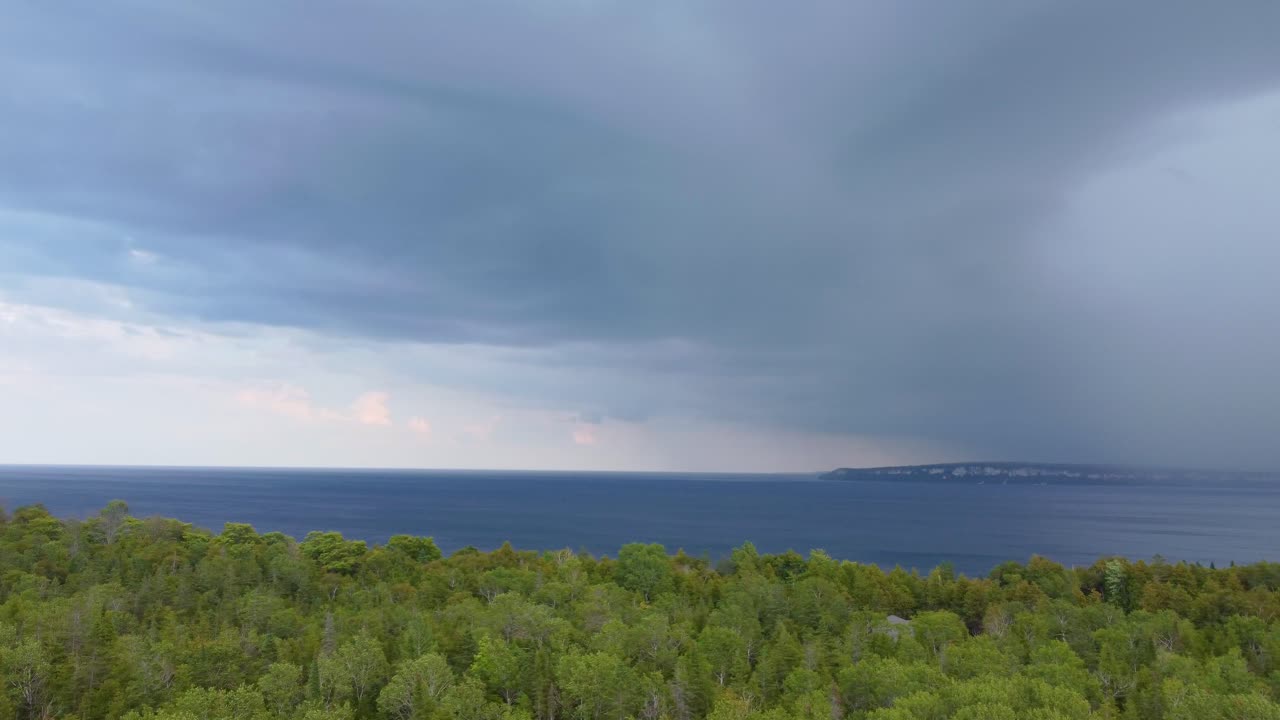 캐나다 온타리오 주 조지아 만 에 있는 푸른 숲 의 공중 사진