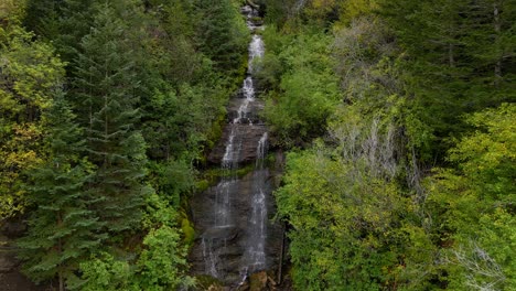 fotografía de avión no tripulado del paisaje natural del bosque y una pequeña cascada en el fondo