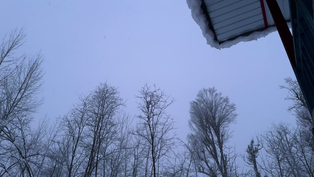 snowfall snowflakes in winter forest iran hyrcanian landscape twilight cold weather nature snowy trees rural countryside storm cloudy sky blue white frost outdoor beautiful scenic park natural flakes