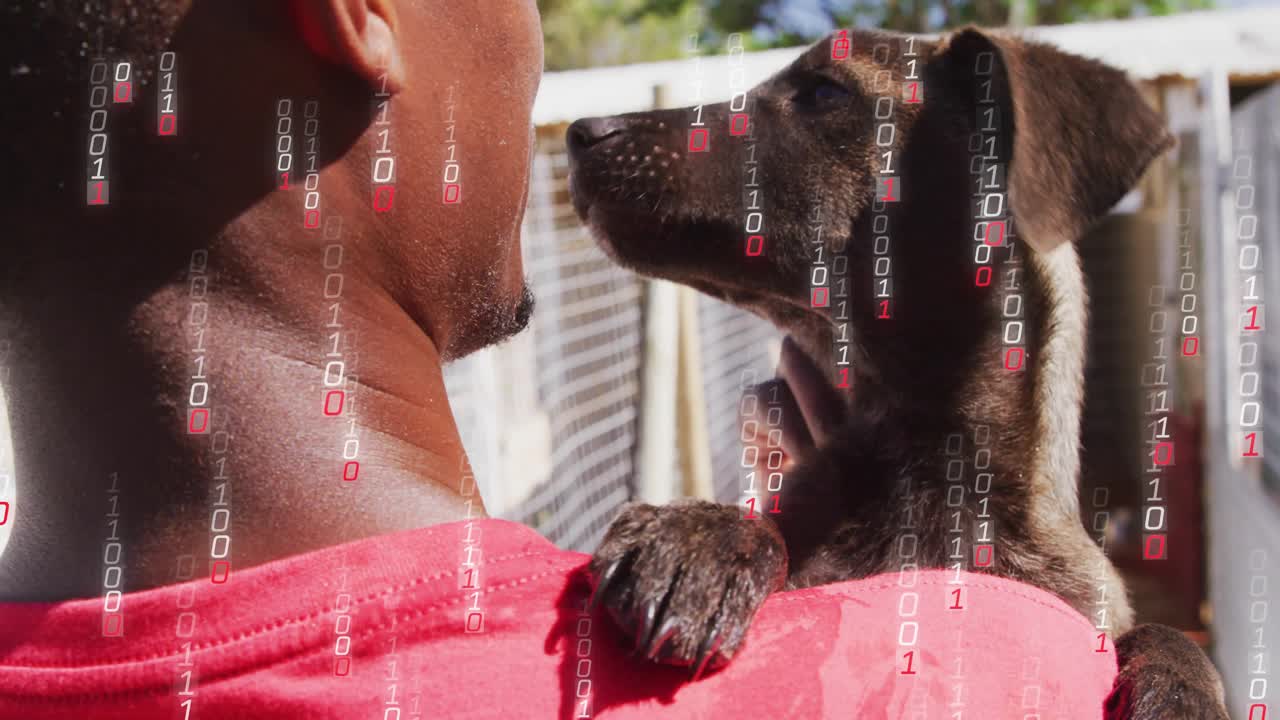 Spotting puppy at kennel fence sparking animal care worker lifting pup into arms, comforting pup