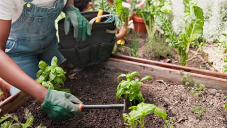 woman gardening in raised bed