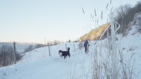 backpacker with his adorable dog walking on snowscape at daytime