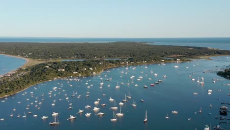 aerial view of boats in a calm harbor