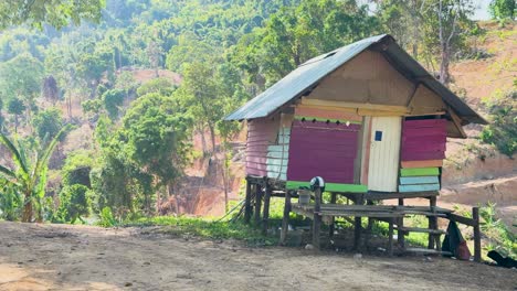 a vibrant shack amidst lush greenery in phuket, thailand. bright daylight enhances the colorful structure and serene surroundings