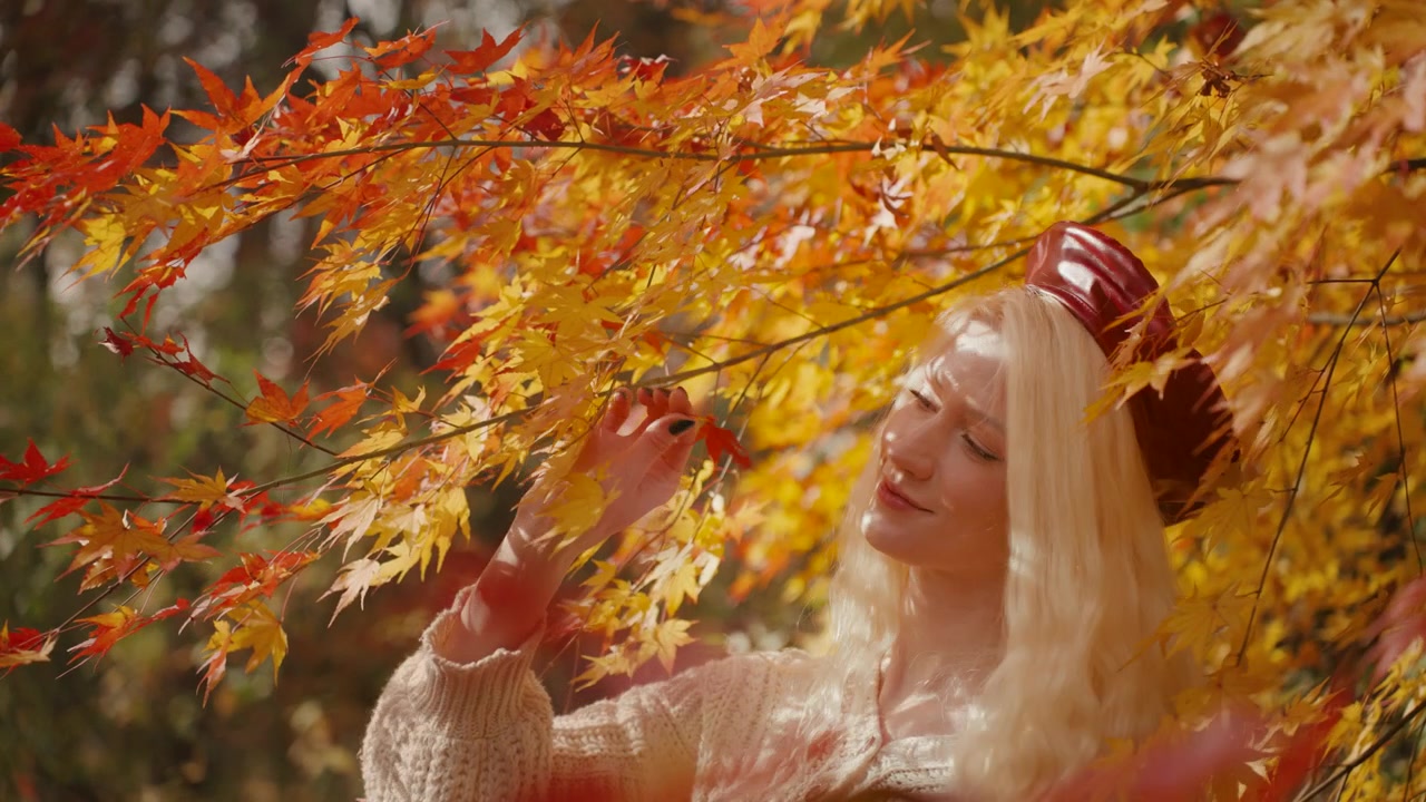 Donna europea che ammira e fa roteare foglie colorate di acero giapponese nel Parco Forestale di Yangjae, al rallentatore, inquadratura media statica