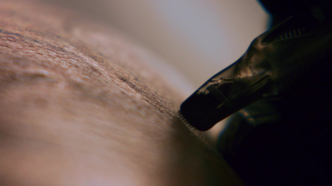 Close up tattoo artist demonstrates the process of getting black tattoo with paint on back of a client