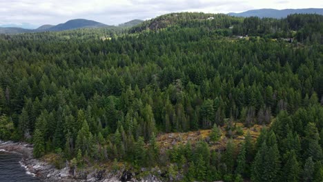 vast mountainous landscapes dominated by temperate rainforest that borders the pacific ocean