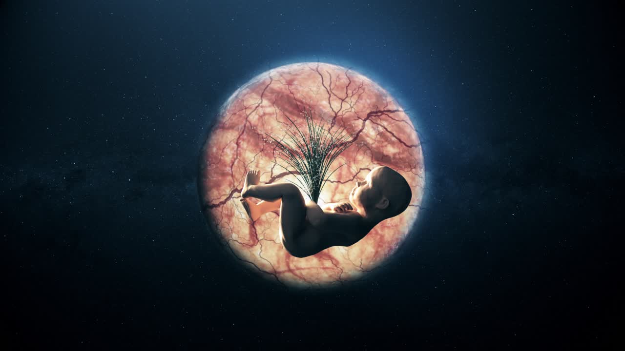 feto en la tierra o en la luna