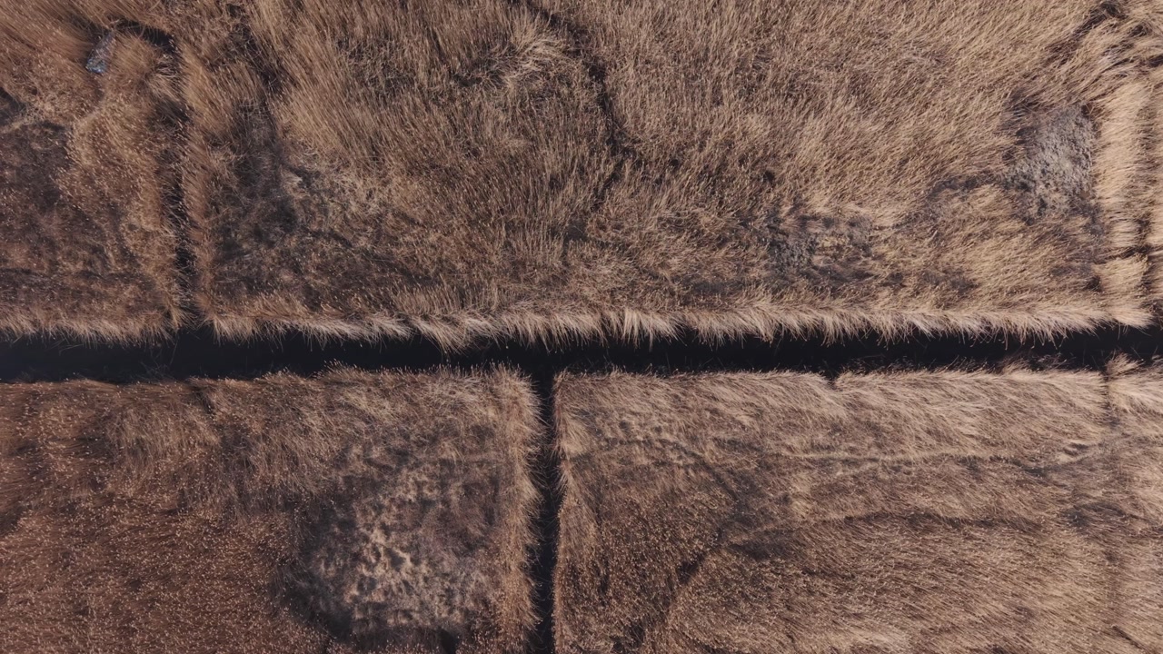 Top down aerial view of a dry grass field divided by a narrow drainage canal. The natural textures and patterns of the vegetation create an abstract landscape background.
