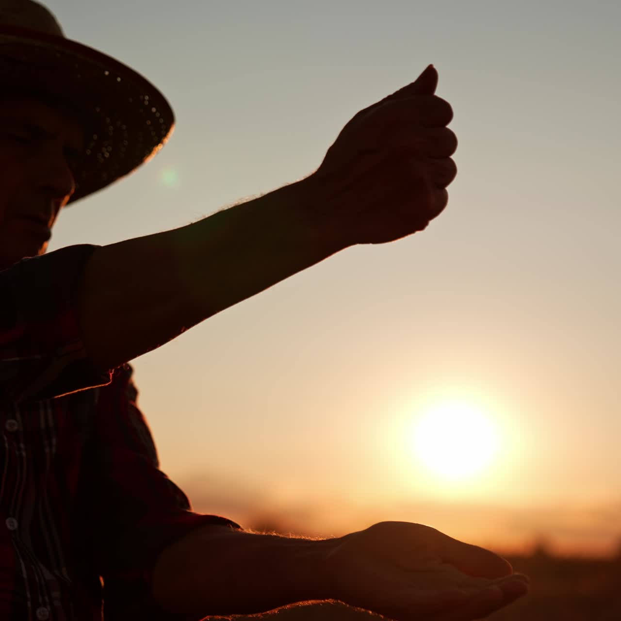 Male silhouette in hat pouring the grains from hand to hand. Setting sun at backdrop