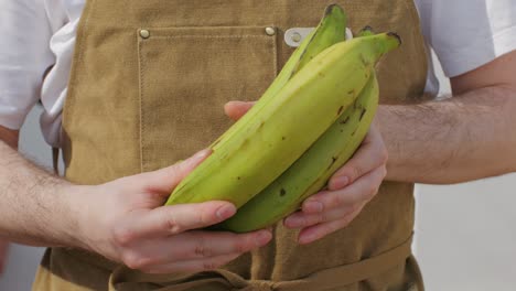 person holding green bananas