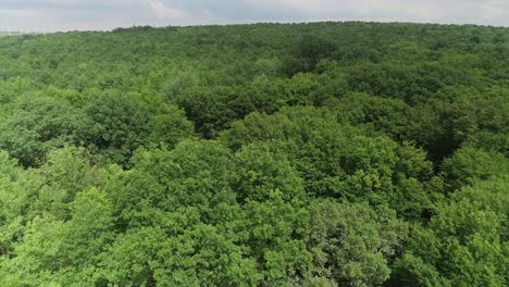 vista de drones -de montañas cubiertas de árboles- que cubre una pequeña comunidad rural