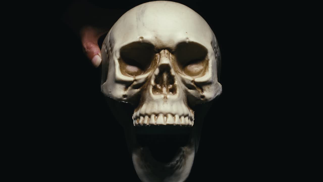 Close-up of a skull on a black background with dramatic shadows, symbolizing death, mystery, and mortality