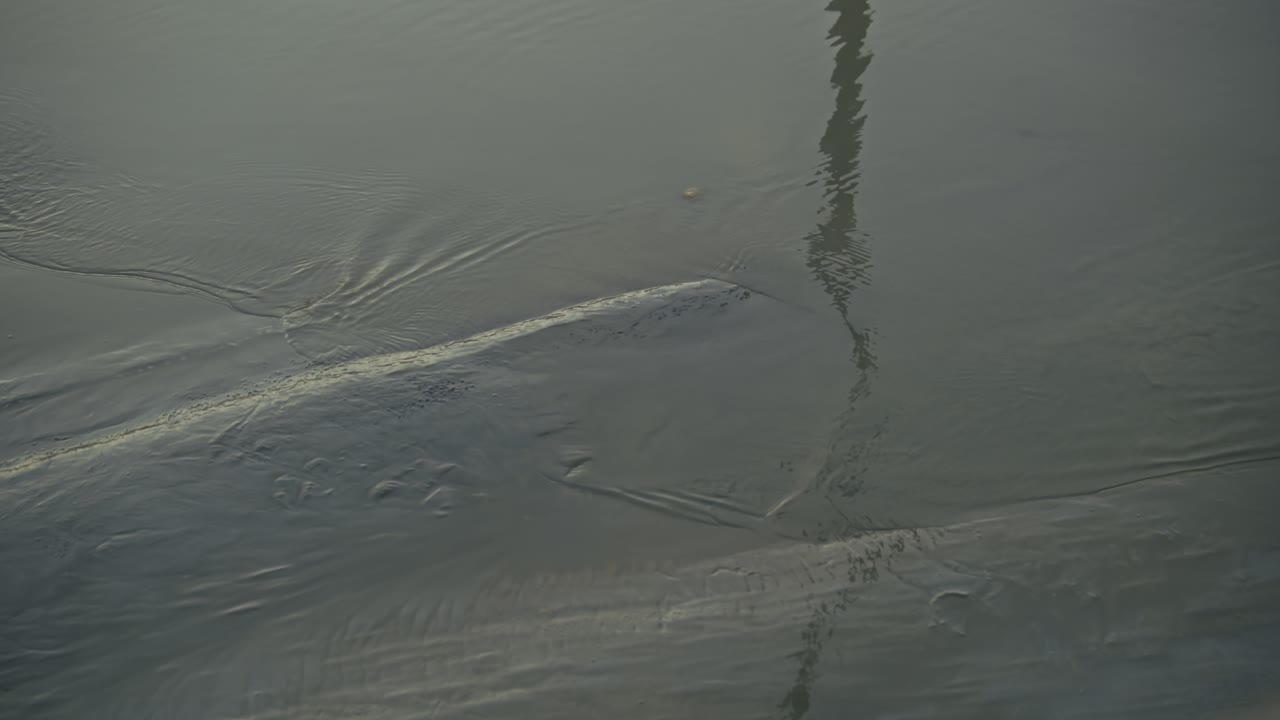 Calm River Water with Reflections