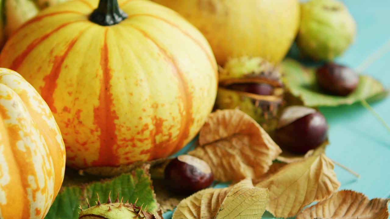 calabazas amarillas puestas con castaño