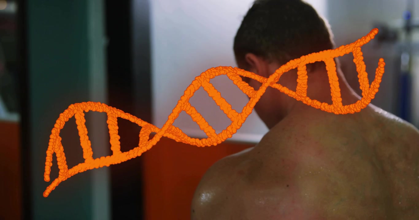 Elica di DNA arancione che si muove, frequentatore di palestra che esegue alzate laterali per evidenziare l'attivazione muscolare