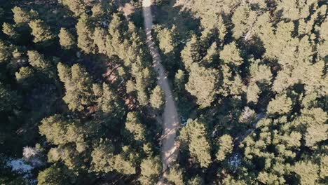 aerial top down 4k view a country road in forest at dusk