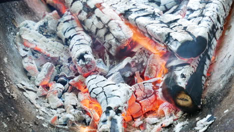 burning birch logs in barbecue during daylight, close up view